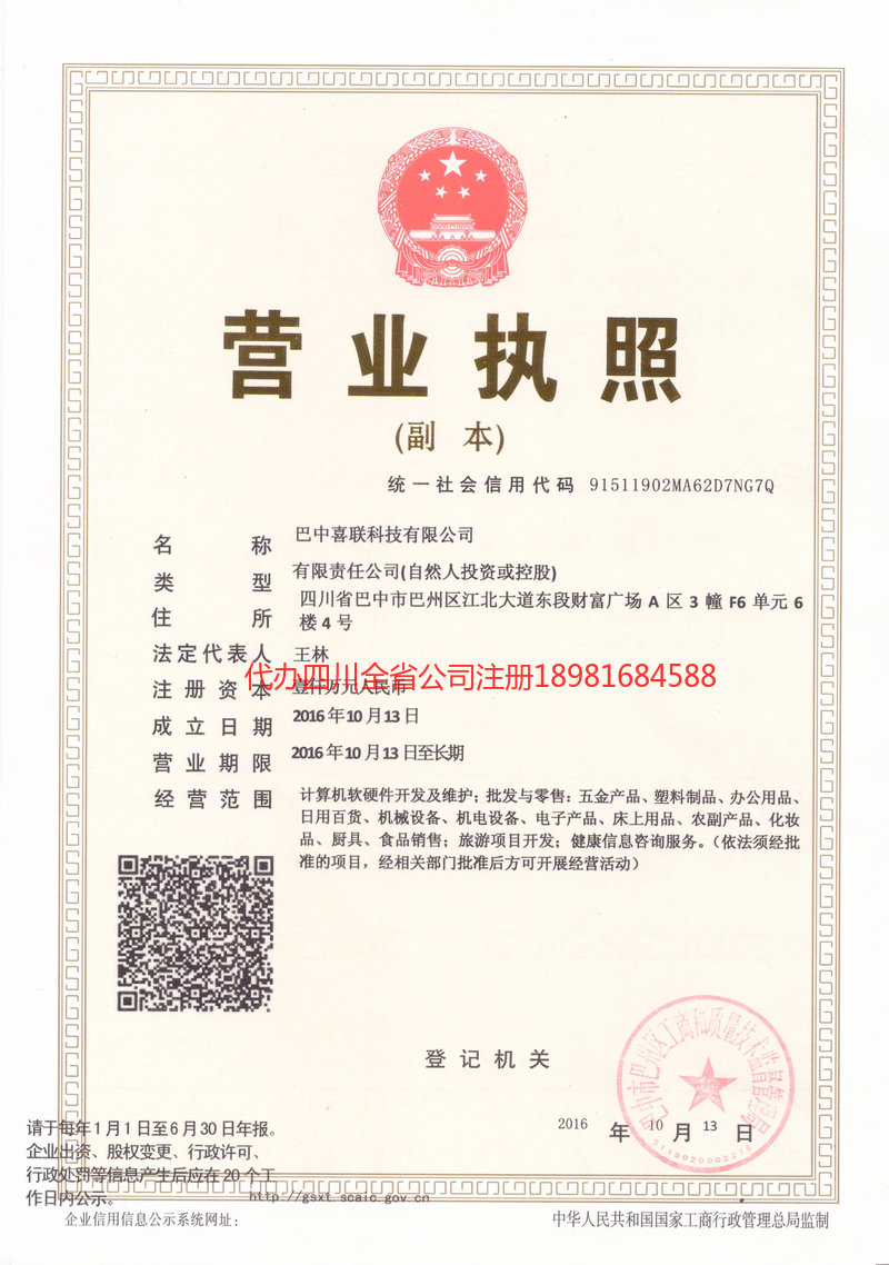 潍坊潍坊喜联科技有限公司